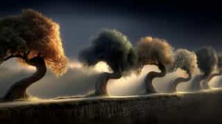 Twisted Sentinels